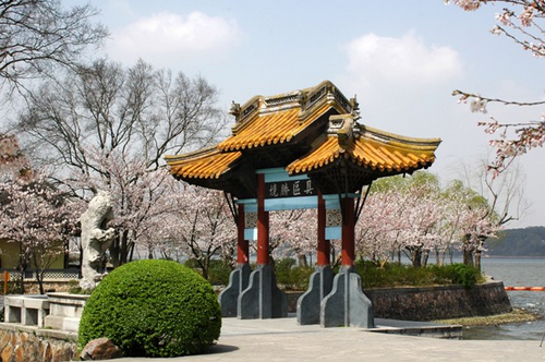不必去日本,国内3大超浪漫赏樱花地-希望zz