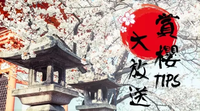 赏樱tips大放送：2016年日本赏樱时间表来了！