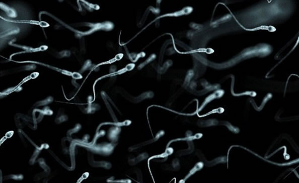 法国实验室培育出人造“精子” 所以男人还有什么用？-希望zz