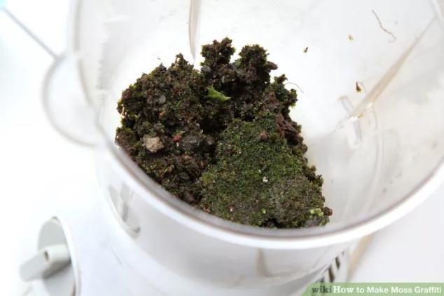 他把这些东西涂在墙壁上,14天后的竟出现超完美画面-希望zz