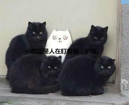 行走于江湖，就要有这样的气场！-希望zz