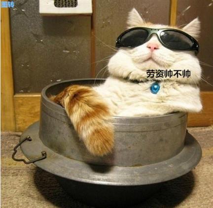 行走于江湖，就要有这样的气场！-希望zz