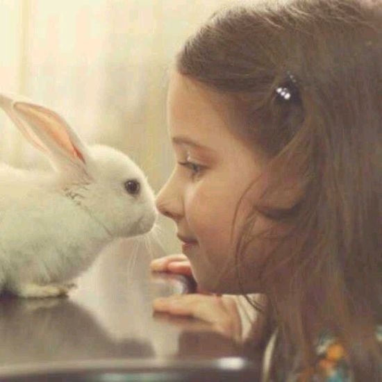 让小兔子和你接吻其实很简单-希望zz