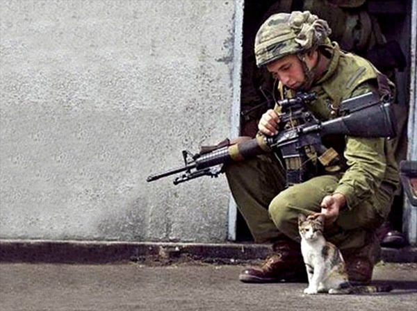 士兵们和他们的小猫小狗-希望zz