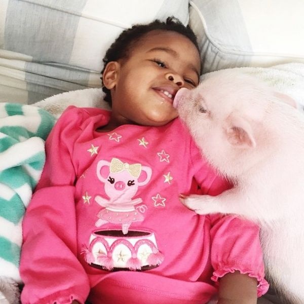 2岁小女孩和宠物小猪的友谊-希望zz