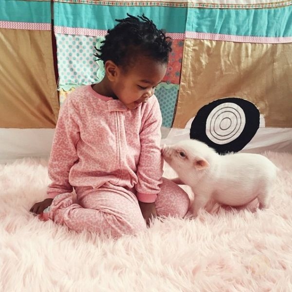 2岁小女孩和宠物小猪的友谊-希望zz