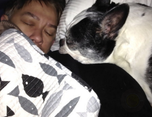研究表明：宠物陪睡主人睡眠质量提升
