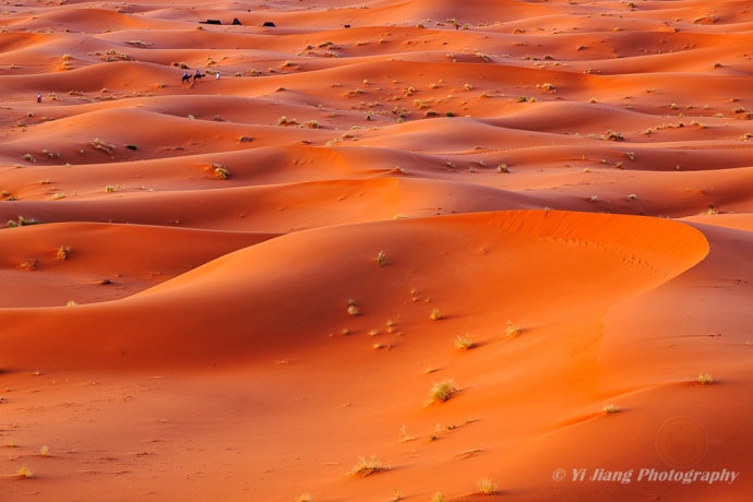 【摩洛哥】走进撒哈拉大沙漠-希望zz