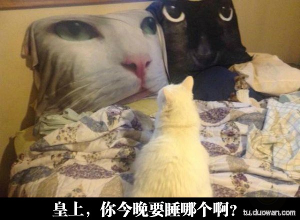 这个安全套广告做的不错……-希望zz