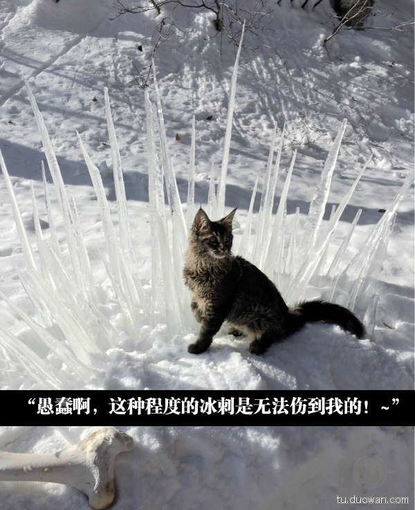 这个安全套广告做的不错……-希望zz