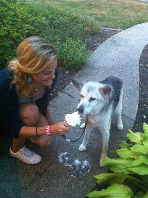 这是这只狗狗在地球上的最后一天，她的主人给了她梦寐以求的礼物-希望zz