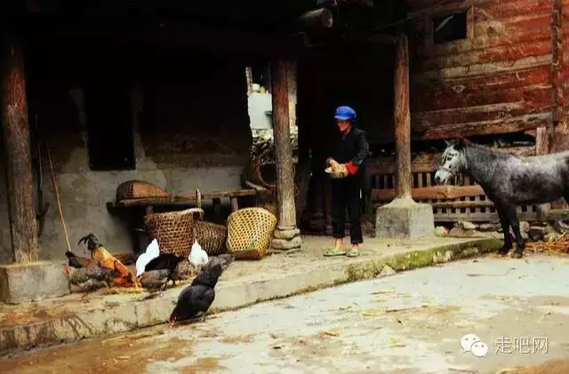 这8条绝美的进藏路 中国最骄傲的世界级风景线!-希望zz