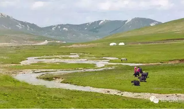 这8条绝美的进藏路 中国最骄傲的世界级风景线!-希望zz