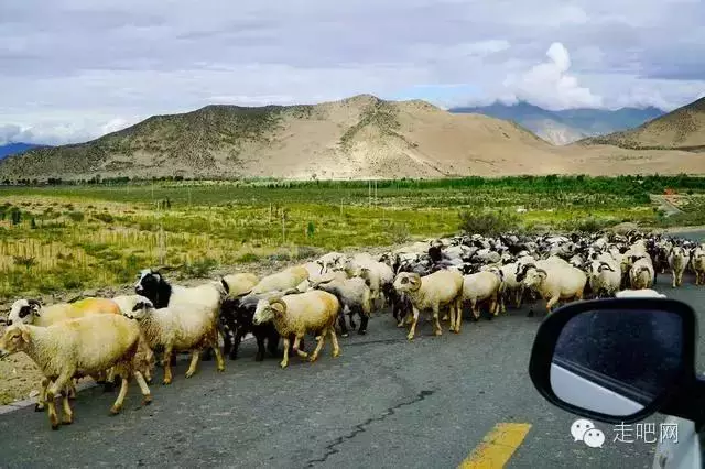 这8条绝美的进藏路 中国最骄傲的世界级风景线!-希望zz