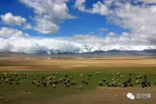 这8条绝美的进藏路 中国最骄傲的世界级风景线!-希望zz