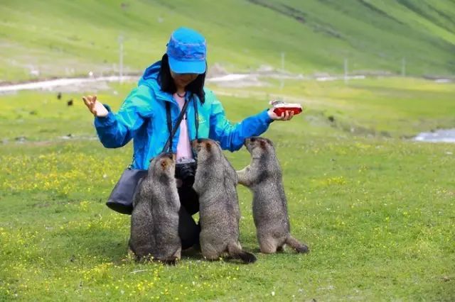 最适合一个人旅行的20个国内外旅行地，2017欠自己一次独自旅行...-希望zz