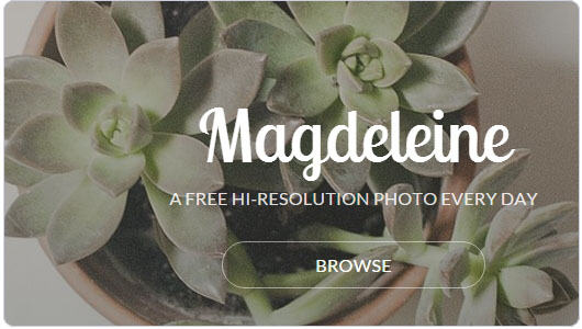 Magdeleine 每天分享图片